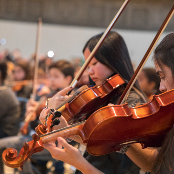 L’Escola Municipal de les Arts de Santa Perpètua de la Mogoda necessita una substitució urgent de violí – viola