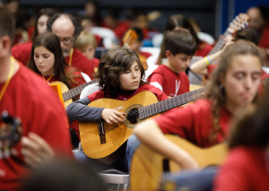 L’EMM de Sant Guim de Freixenet necessita professor/a de guitarra